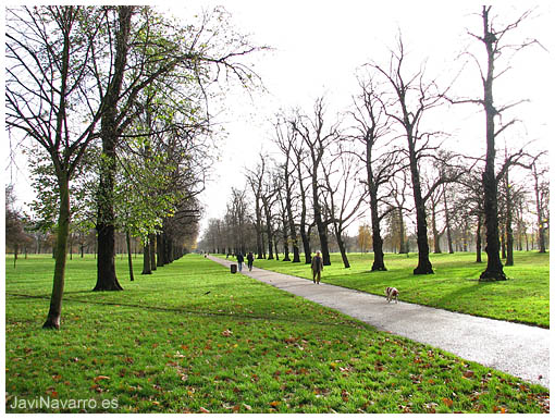 Kensington Gardens || Canon S2 IS | 1/160s | f/4 | ISO 50 | a pulso