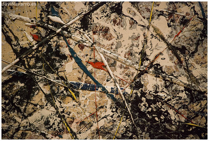 Pollock || Nikon D80 | 1/20s | f/4,8 | ISO 800 | a pulso